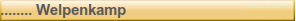 ........ Welpenkamp